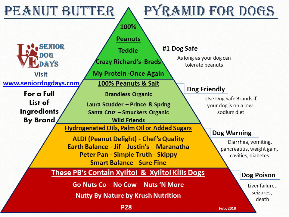 xylitol dangers for dogs