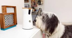 Furbo Dog Camera