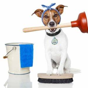 Dog Cleaning Up